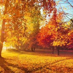 Comprendre les Couleurs