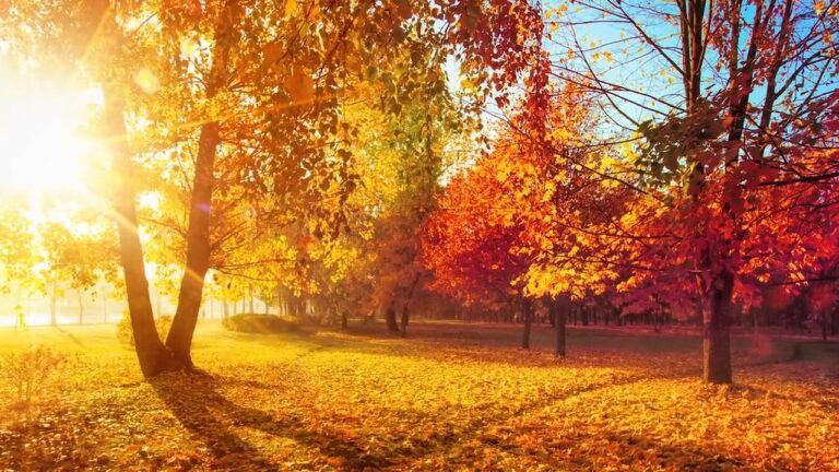 Comprendre les couleurs