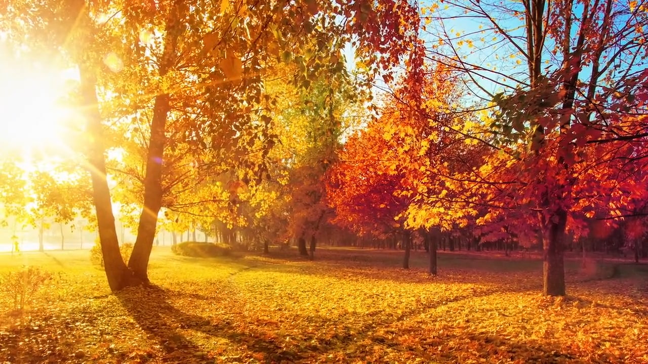 Comprendre les Couleurs