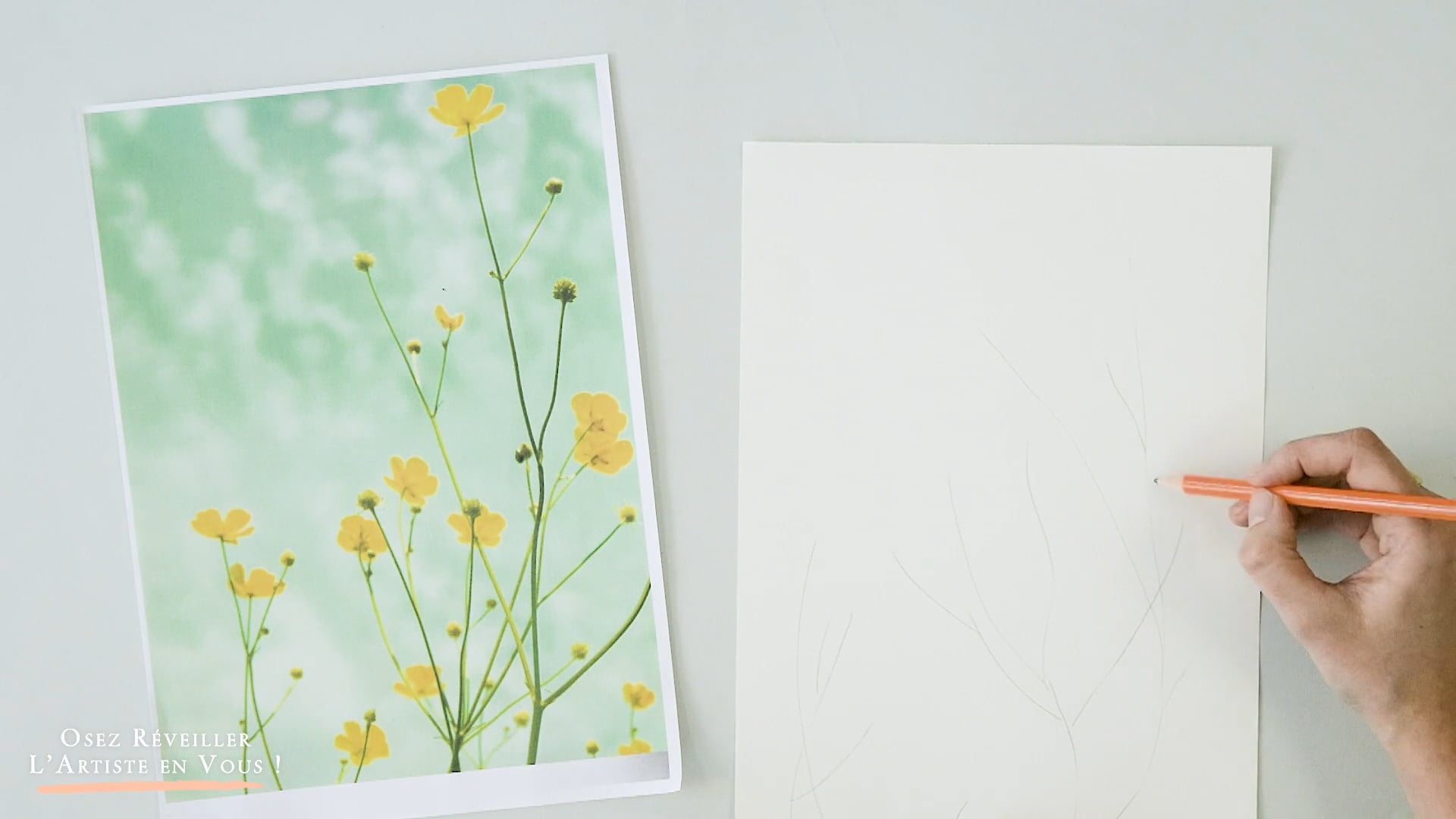 Techniques de dessin préparatoire – Image 8